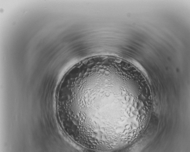 X0000060771096200511171207