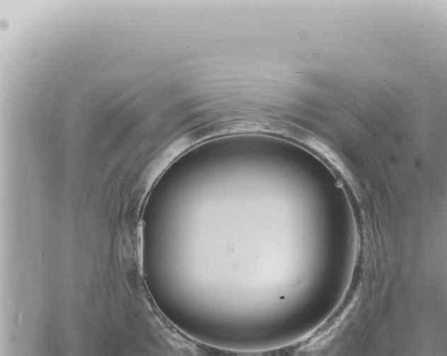 X0000060771097200511171207