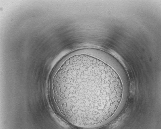 X0000060771098200511171207