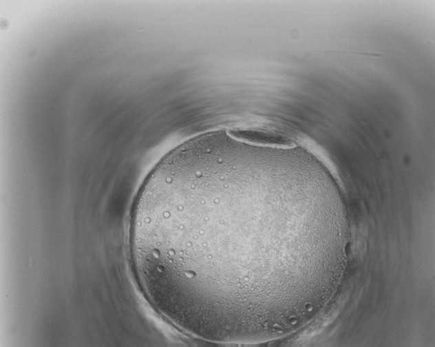 X0000060771099200511171207