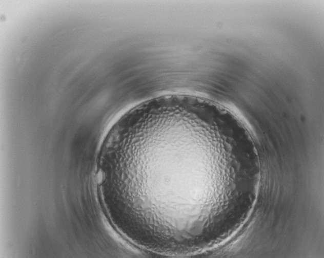 X0000060771100200511171207