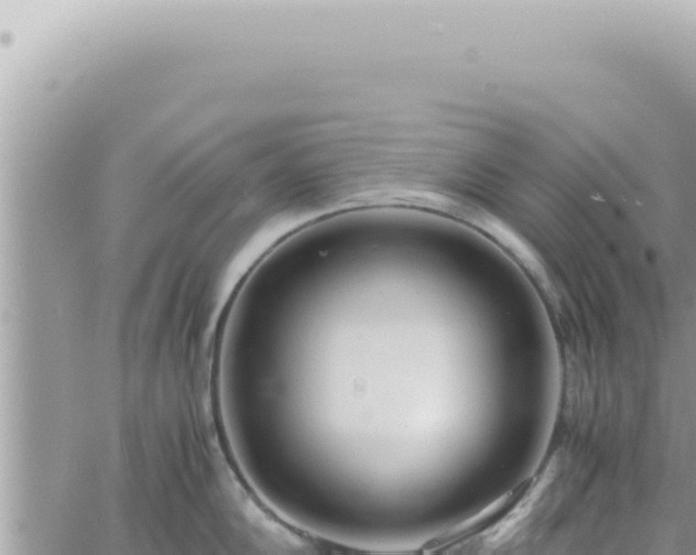 X0000060771102200511171207