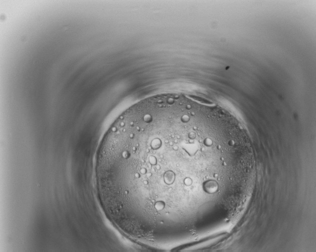 X0000060771103200511171207