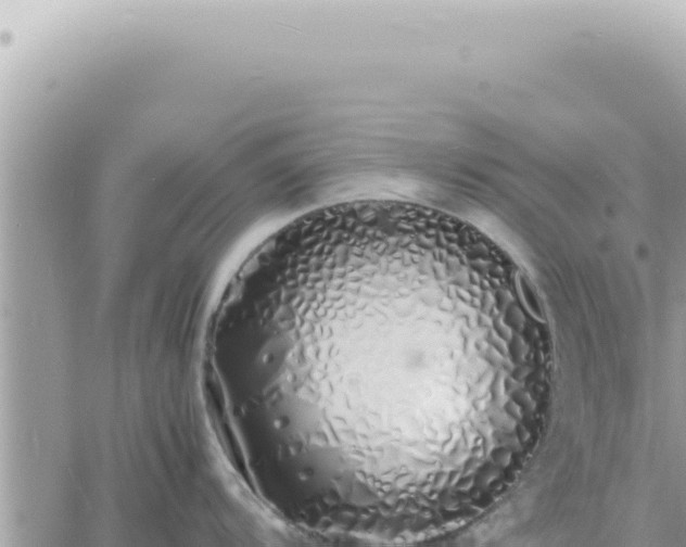 X0000060771104200511171207