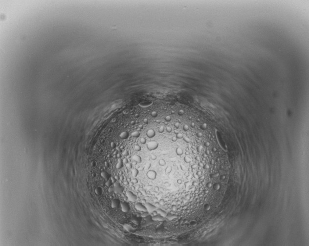 X0000060771105200511171206