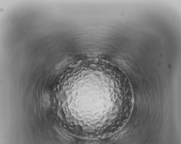 X0000060771106200511171206