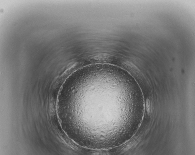 X0000060771107200511171206