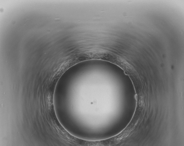 X0000060771108200511171206