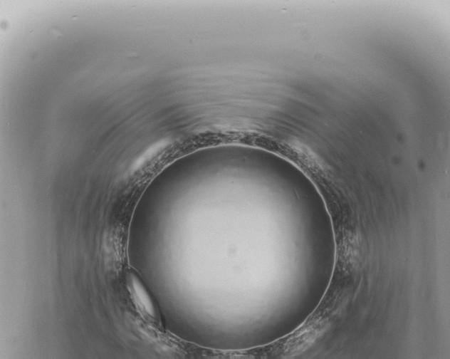 X0000060771110200511171206