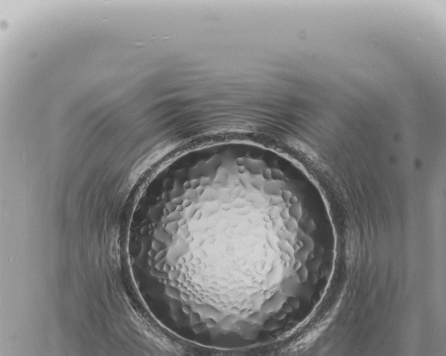 X0000060771113200511171206