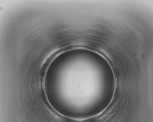 X0000060771115200511171206