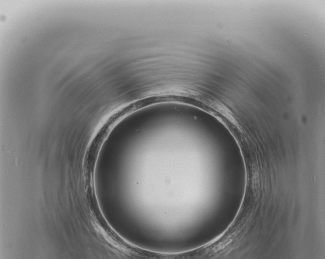 X0000060771116200511171206