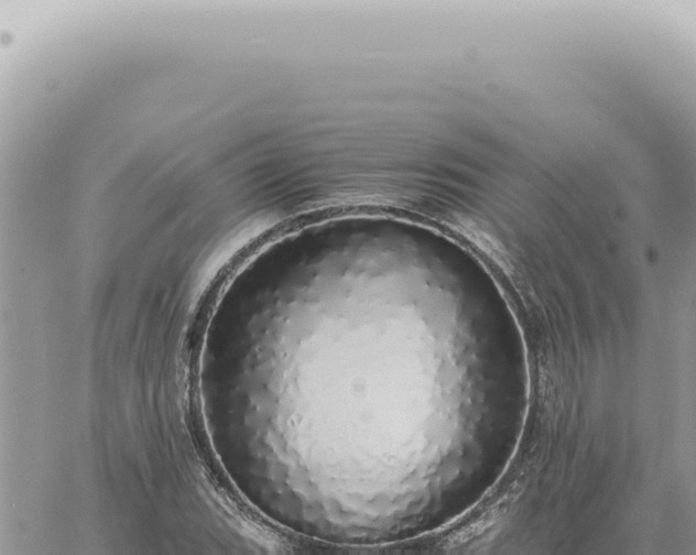 X0000060771119200511171206