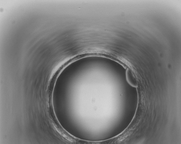 X0000060771120200511171206