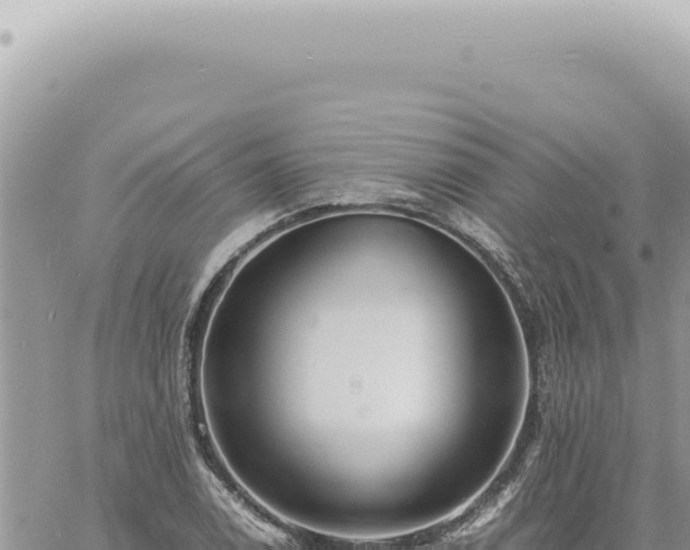 X0000060771122200511171206