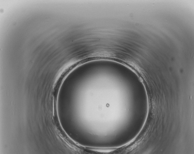 X0000060771123200511171206