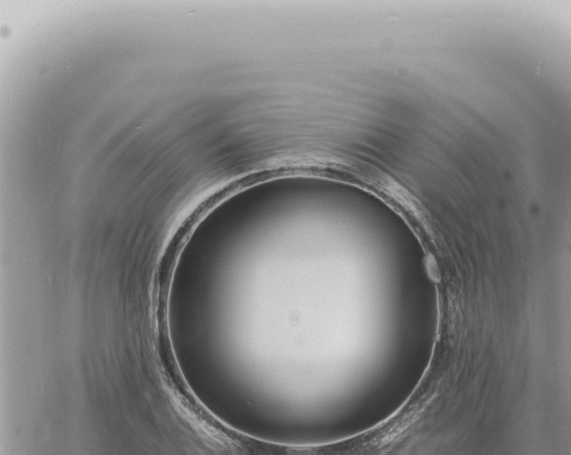 X0000060771124200511171206