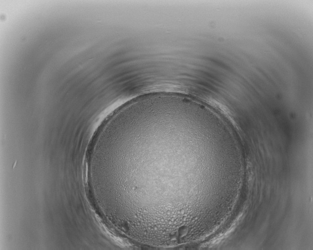 X0000060771125200511171206