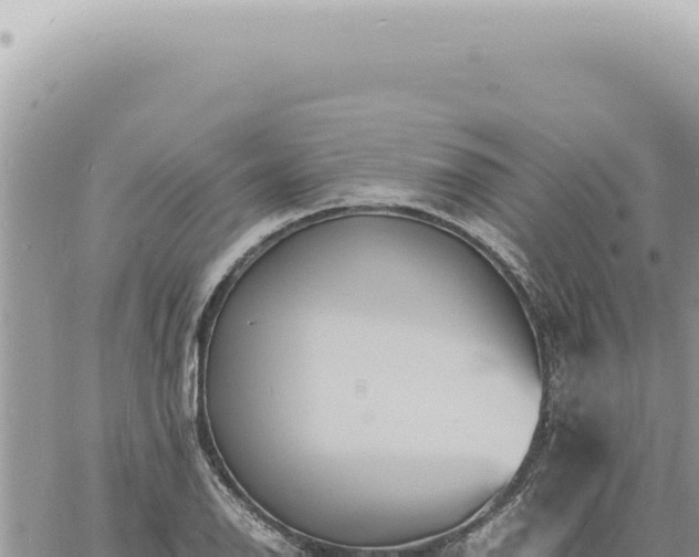 X0000060771126200511171206