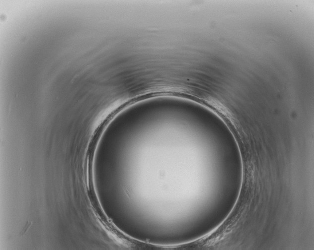 X0000060771127200511171206