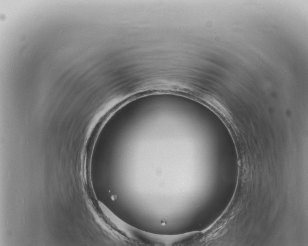 X0000060771128200511171206