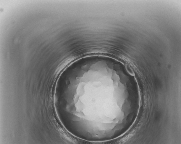 X0000060771129200511171206