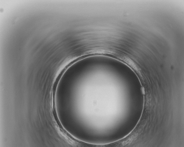 X0000060771132200511171206