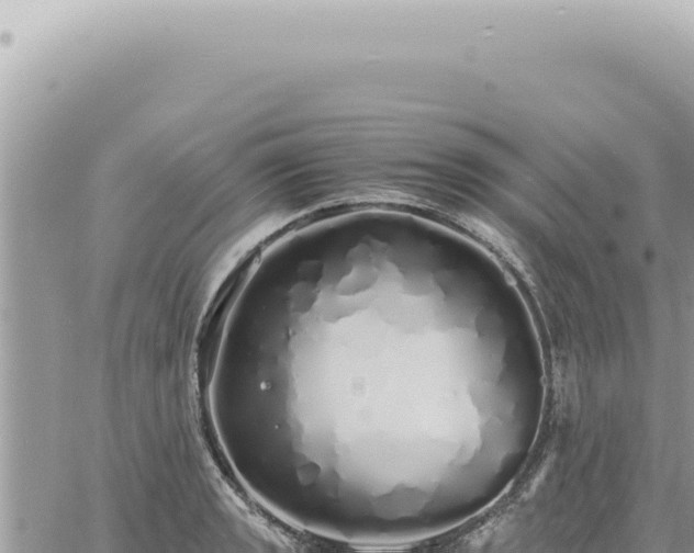 X0000060771133200511171206