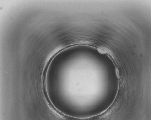 X0000060771135200511171206