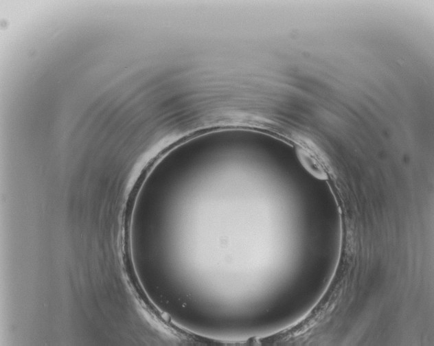 X0000060771136200511171206