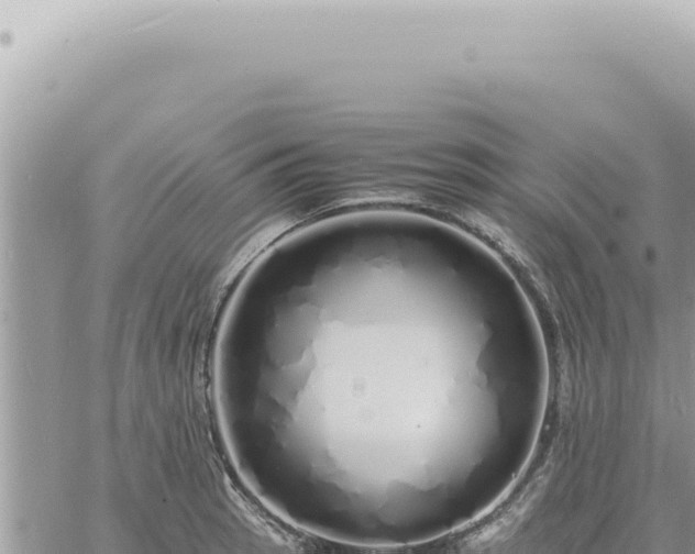 X0000060771137200511171206