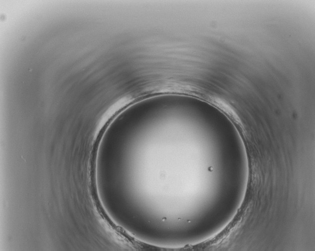 X0000060771138200511171206