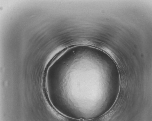 X0000060771139200511171206