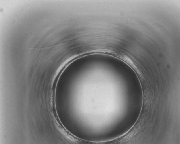 X0000060771140200511171207