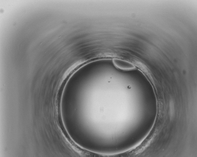 X0000060771141200511171207