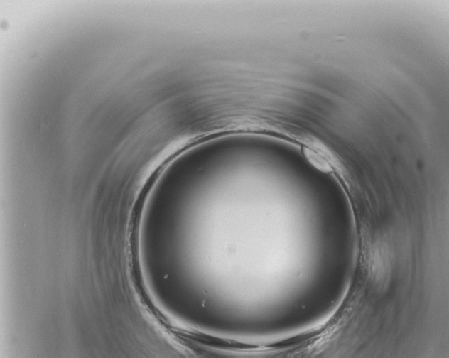 X0000060771142200511171207