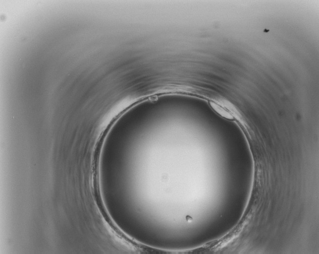 X0000060771143200511171207