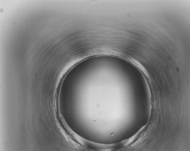 X0000060771144200511171207