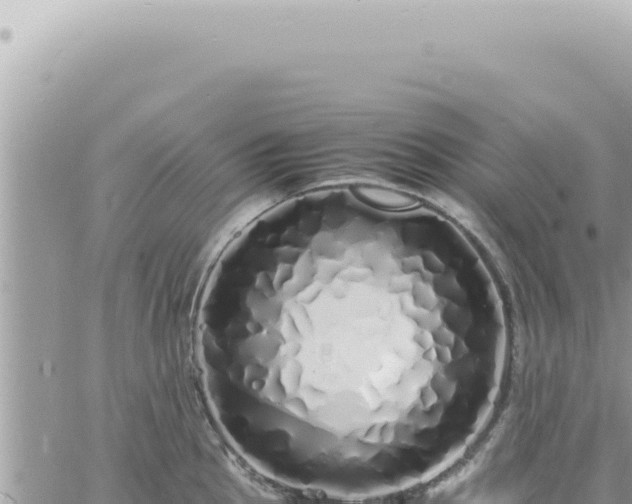 X0000060771145200511171207