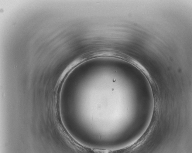 X0000060771146200511171207