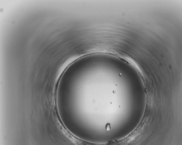 X0000060771148200511171207