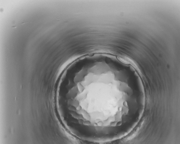 X0000060771149200511171207