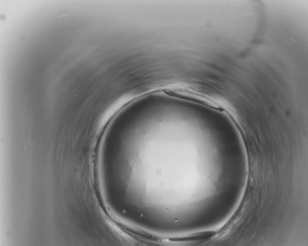 X0000060771151200511171207