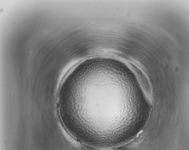 X0000060771152200511171207