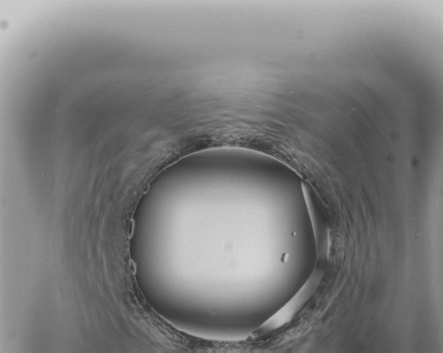 X0000060771153200511171206