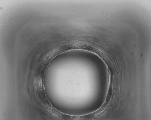 X0000060771155200511171206