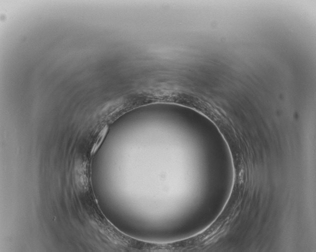 X0000060771156200511171206