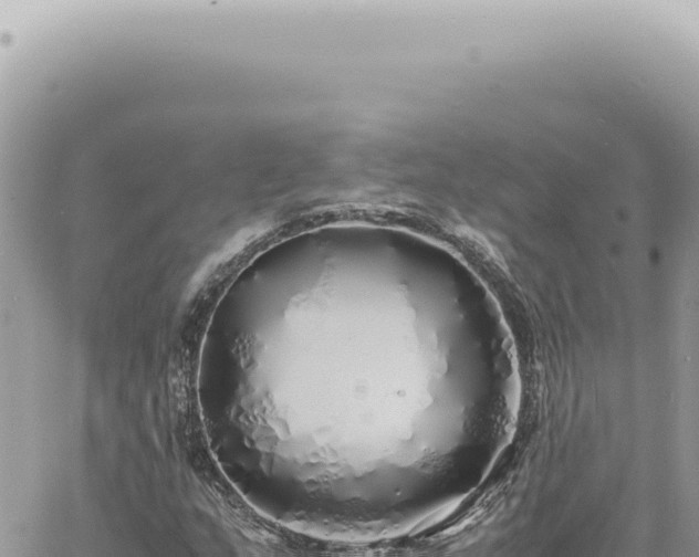 X0000060771159200511171206