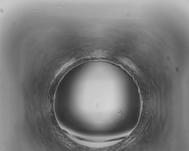 X0000060771160200511171206