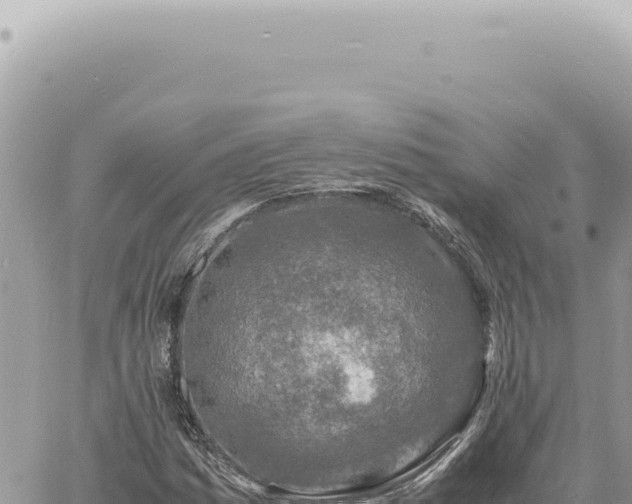 X0000060771161200511171206